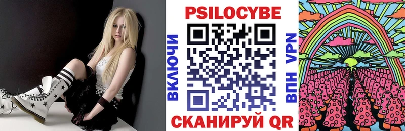 где найти наркотики  Новокубанск  Галлюциногенные грибы прущие грибы 